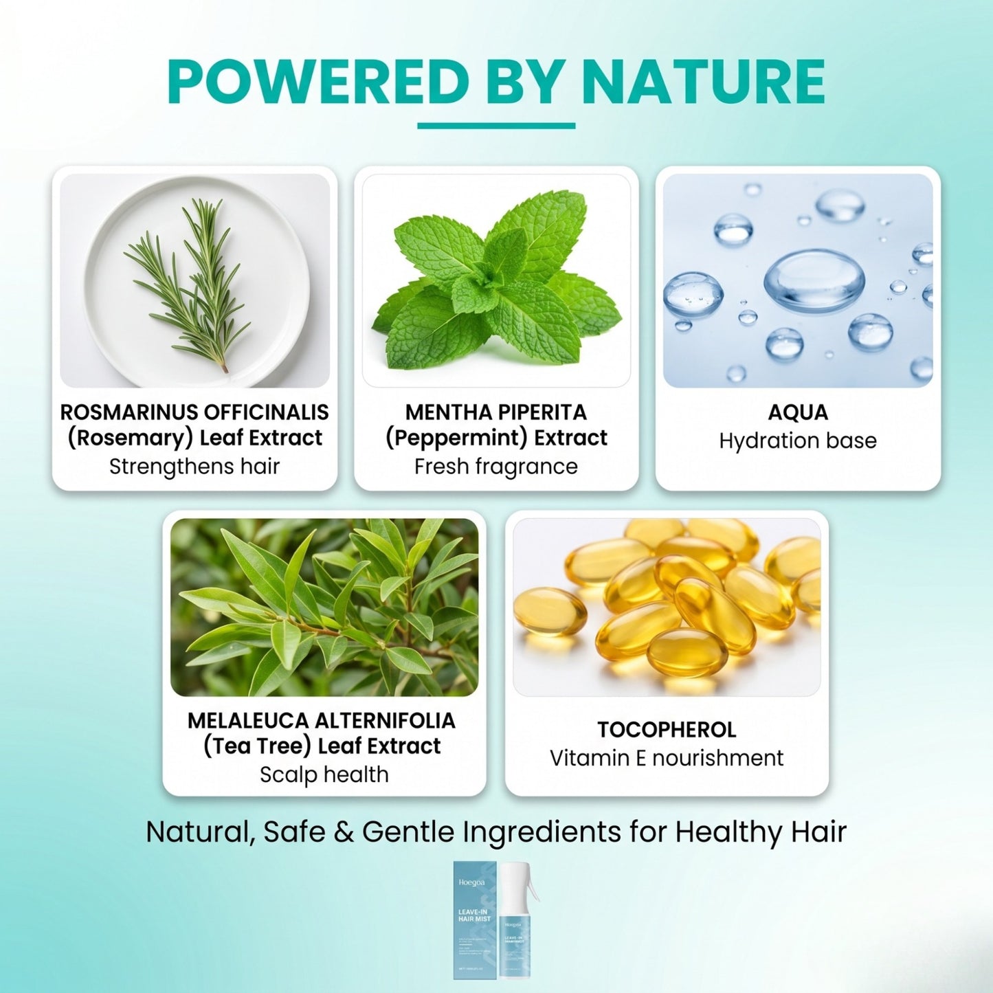 Hoegoa Leave-In Hair Mist
