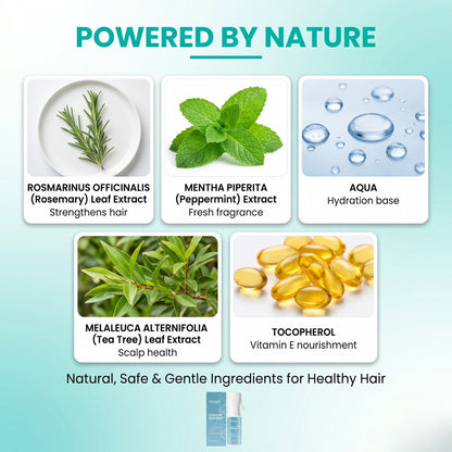 Hoegoa Leave-In Hair Mist